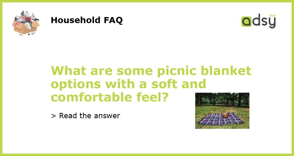 What are some picnic blanket options with a soft and comfortable feel featured