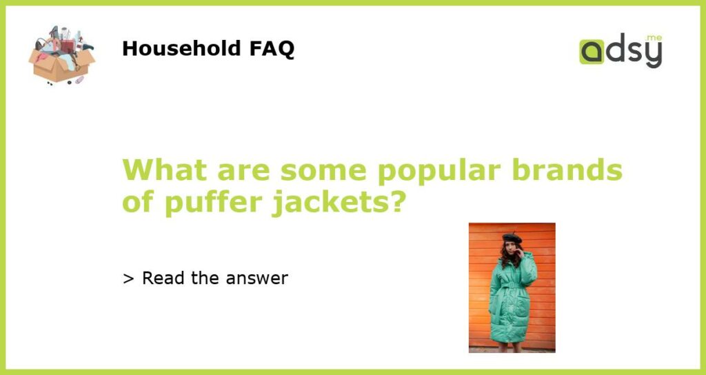 What are some popular brands of puffer jackets featured