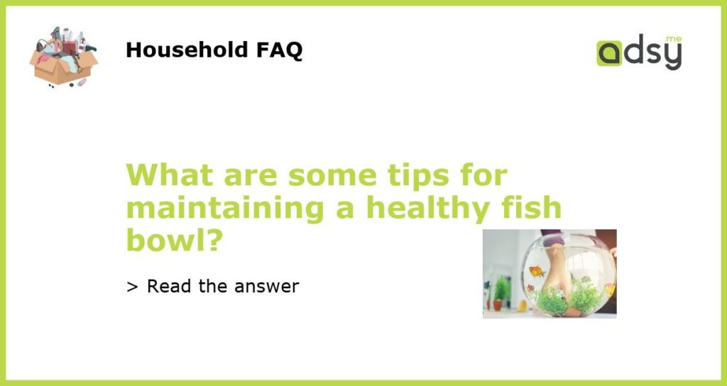 What are some tips for maintaining a healthy fish bowl featured