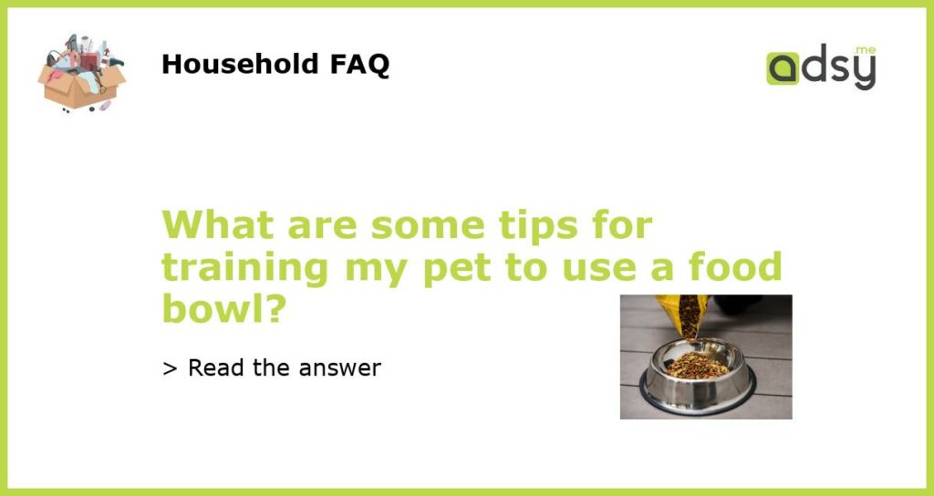 What are some tips for training my pet to use a food bowl featured