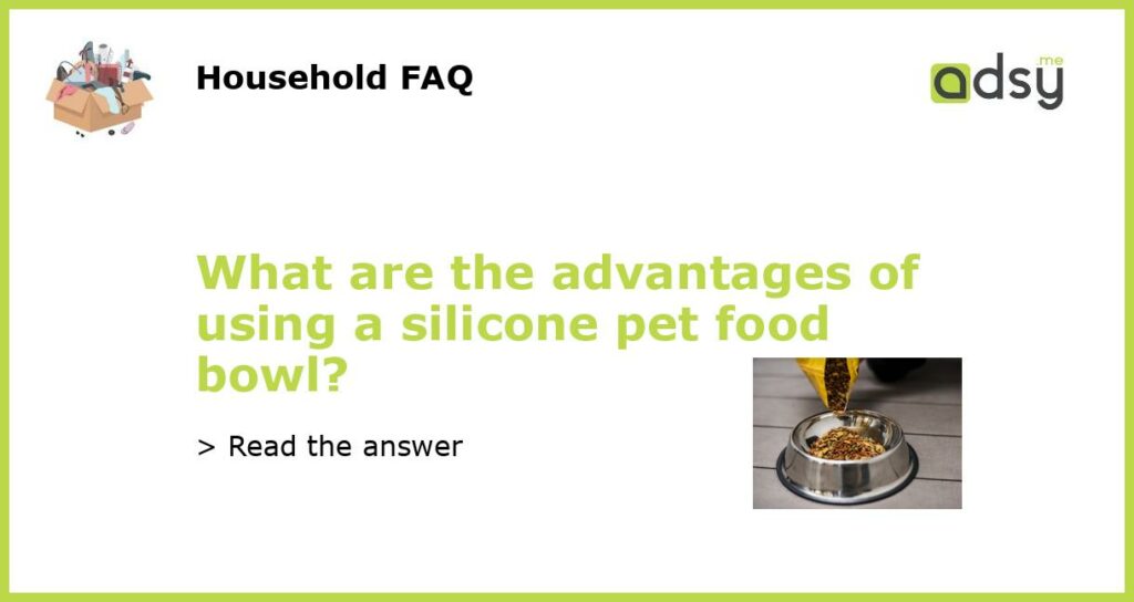 What are the advantages of using a silicone pet food bowl featured