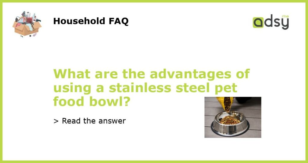 What are the advantages of using a stainless steel pet food bowl?