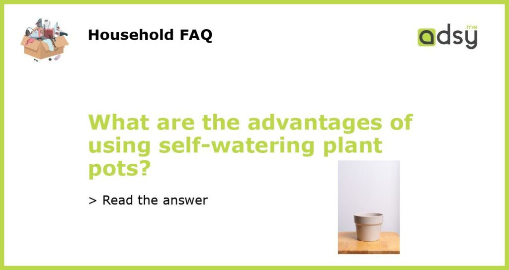 What are the advantages of using self watering plant pots featured