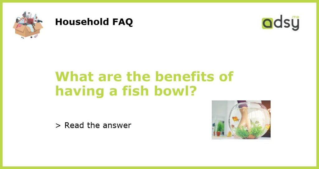 What are the benefits of having a fish bowl featured