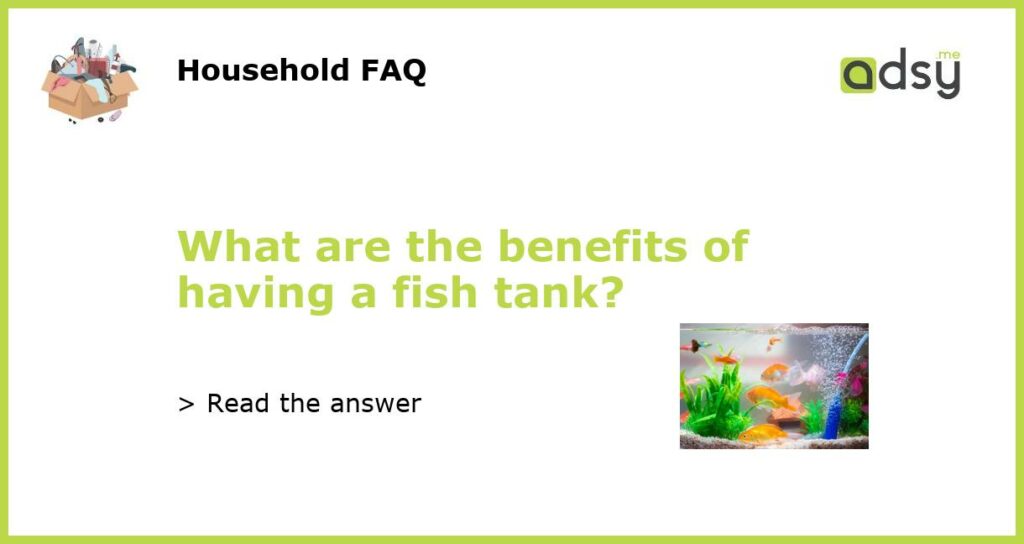 What are the benefits of having a fish tank?