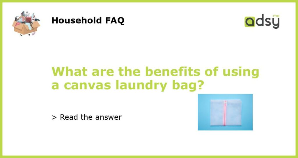 What are the benefits of using a canvas laundry bag featured