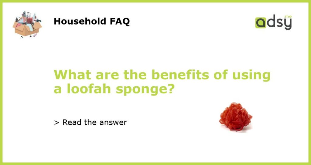 What are the benefits of using a loofah sponge featured