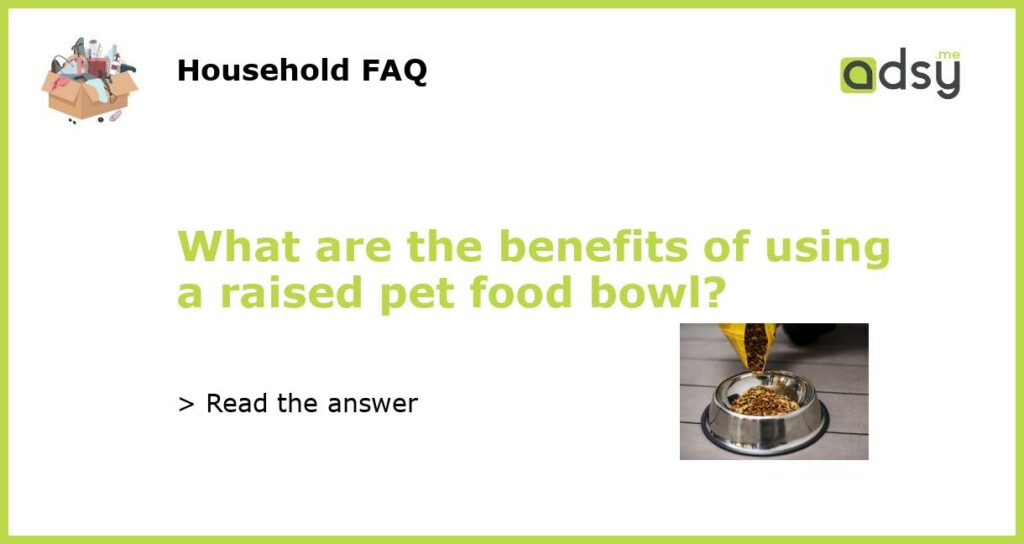 What are the benefits of using a raised pet food bowl featured