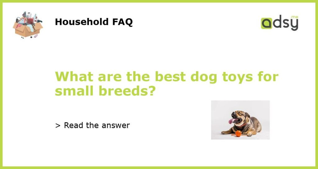 What are the best dog toys for small breeds featured