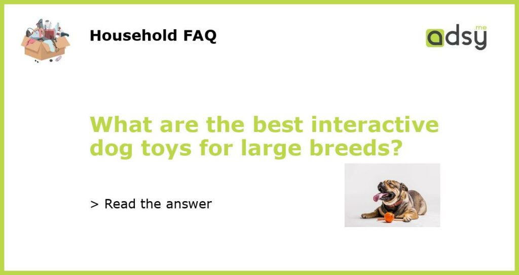 What are the best interactive dog toys for large breeds featured