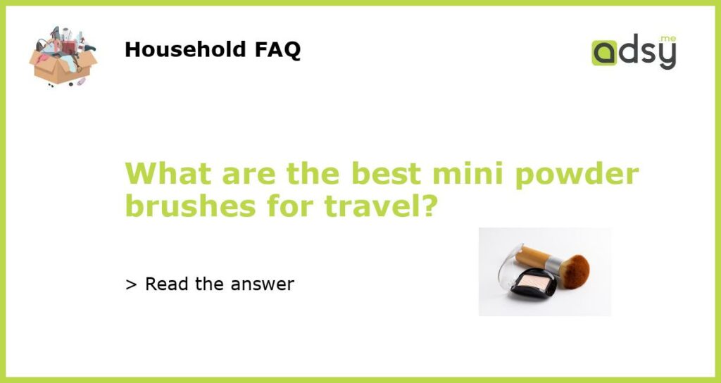 What are the best mini powder brushes for travel?