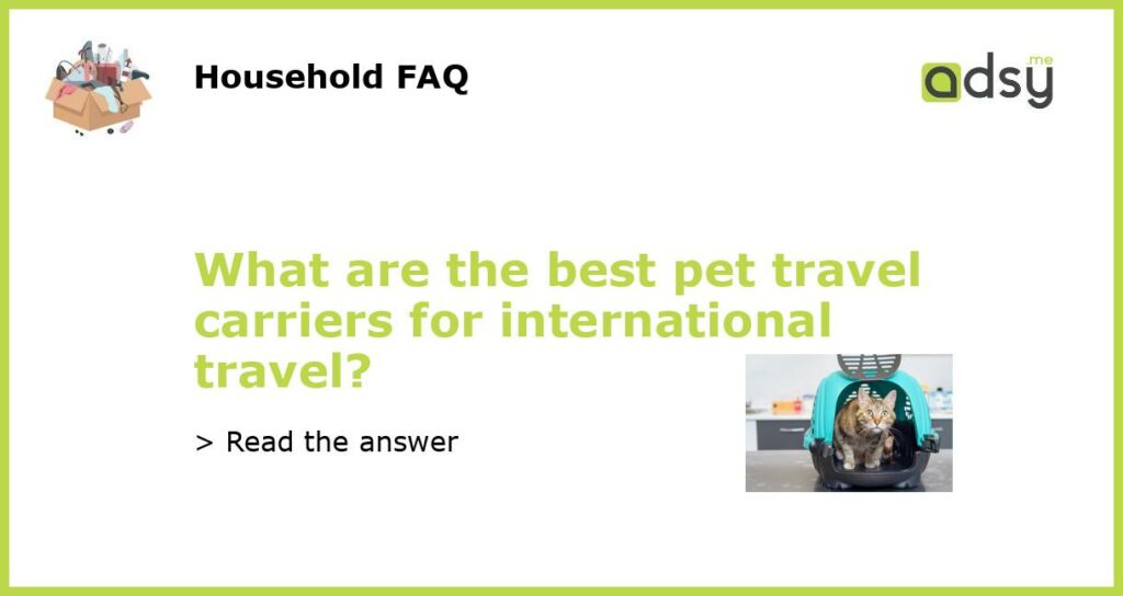 What are the best pet travel carriers for international travel featured