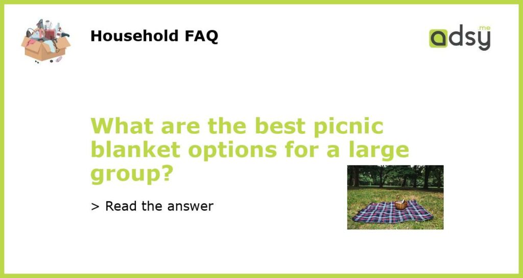 What are the best picnic blanket options for a large group featured