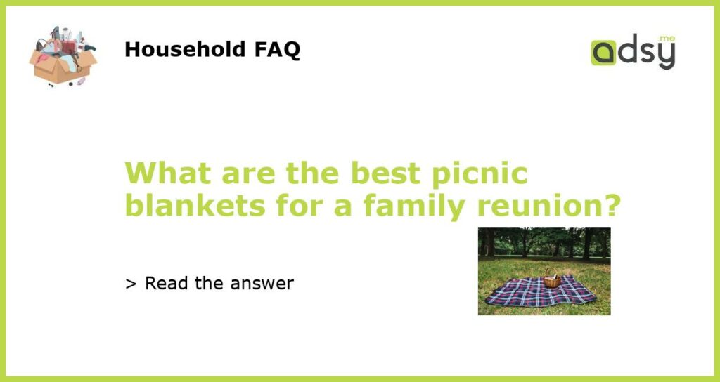 What are the best picnic blankets for a family reunion?