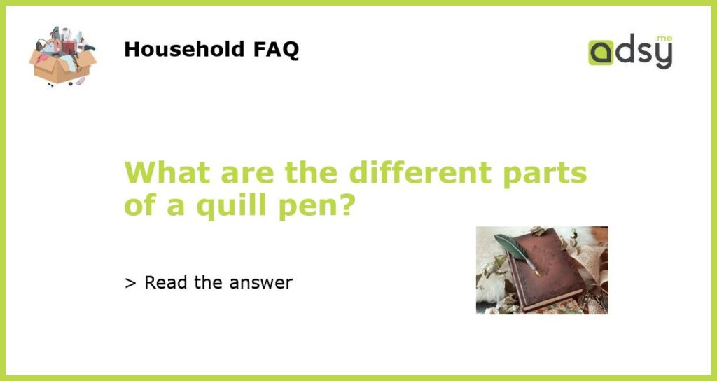 What are the different parts of a quill pen featured