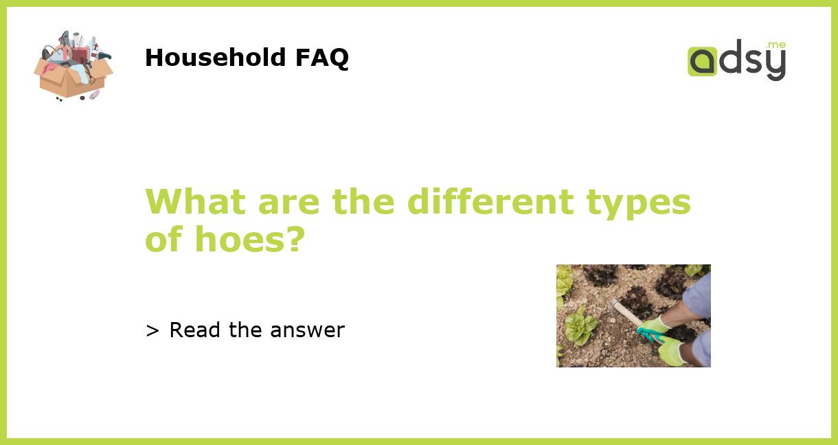 What are the different types of hoes?