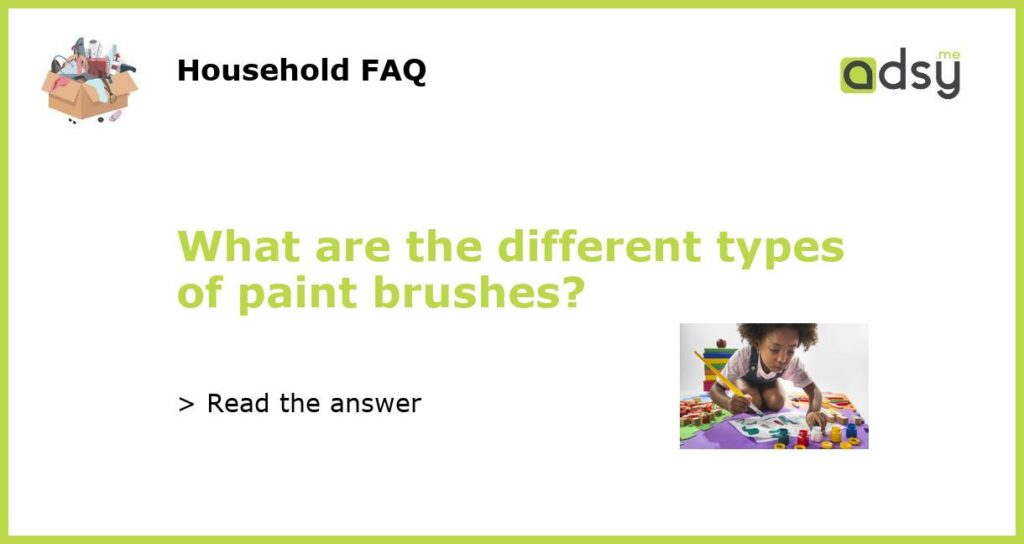 What are the different types of paint brushes featured