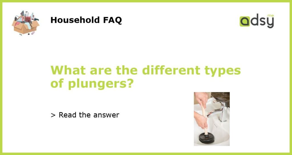 What are the different types of plungers featured