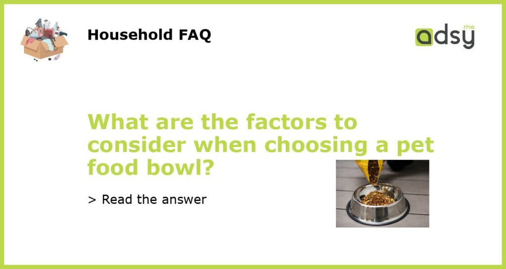 What are the factors to consider when choosing a pet food bowl featured