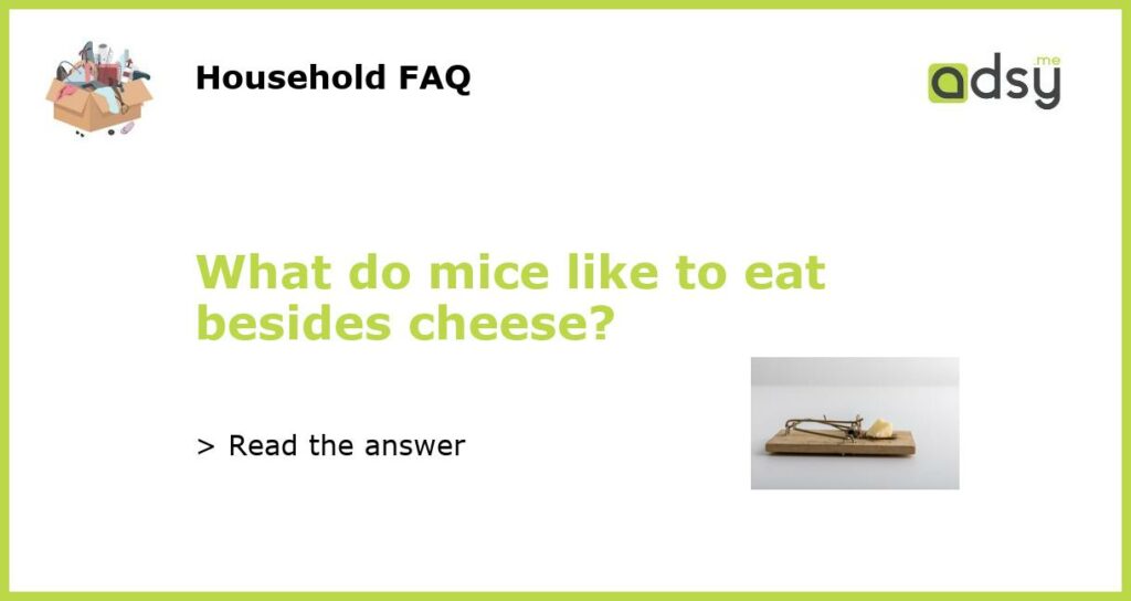 What do mice like to eat besides cheese featured