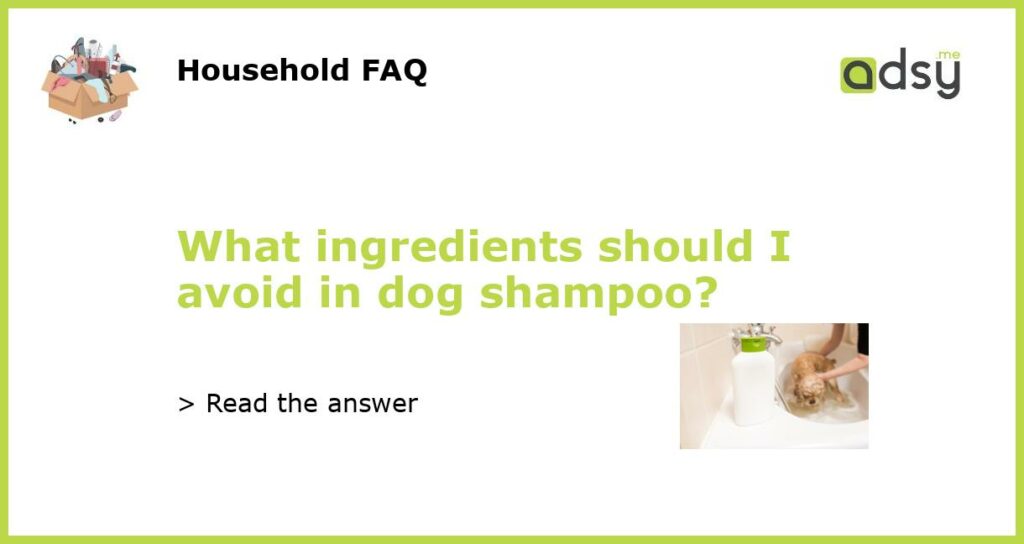 What ingredients should I avoid in dog shampoo featured