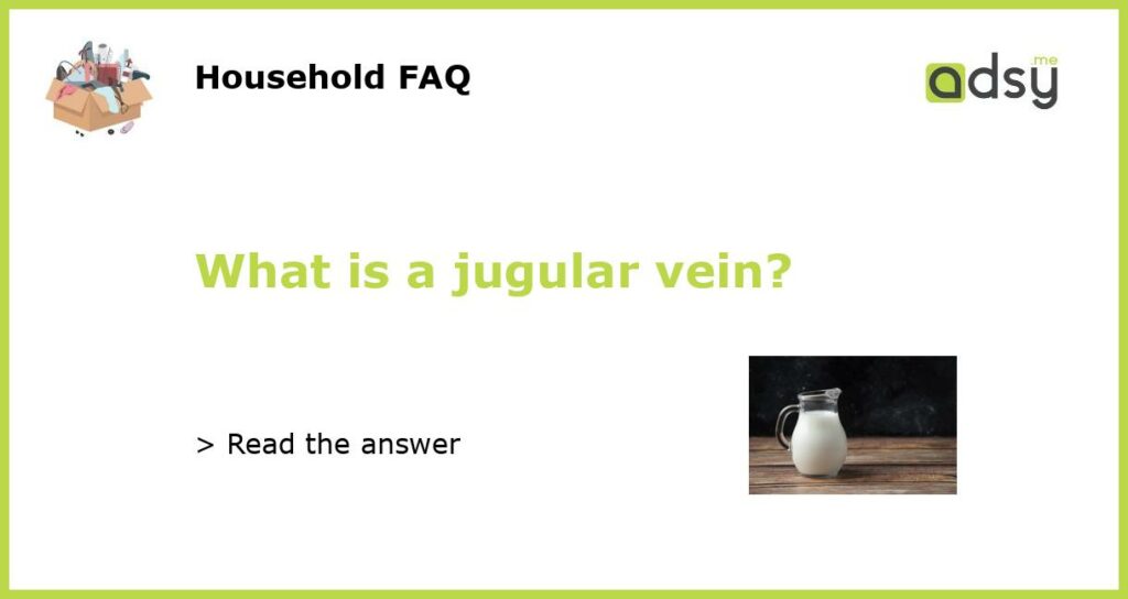 What is a jugular vein featured