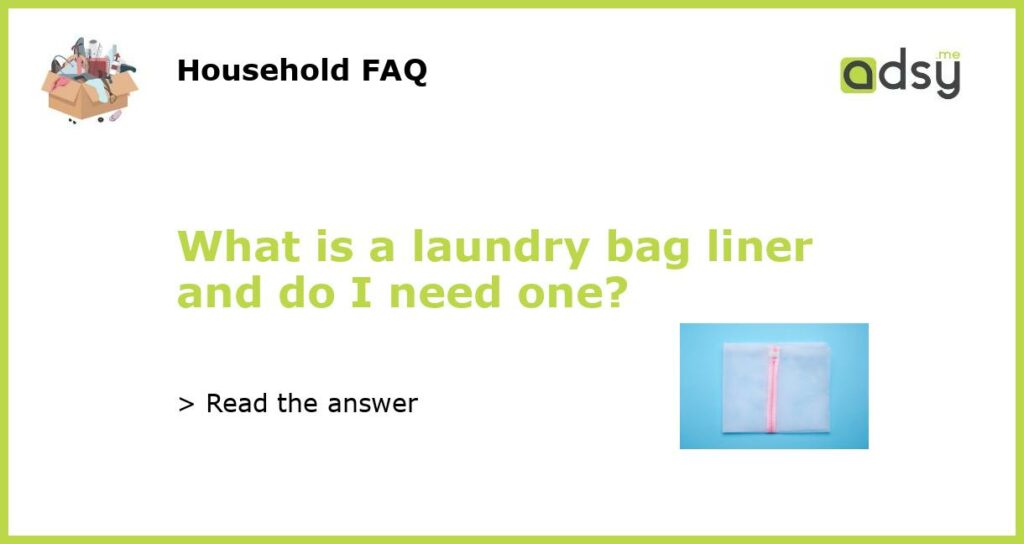 What is a laundry bag liner and do I need one featured