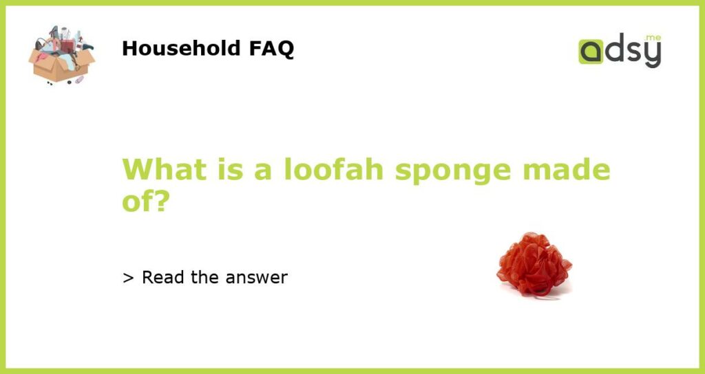What is a loofah sponge made of featured