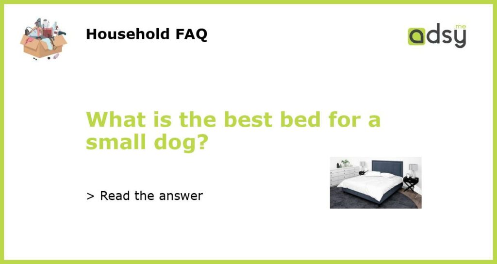 What is the best bed for a small dog featured