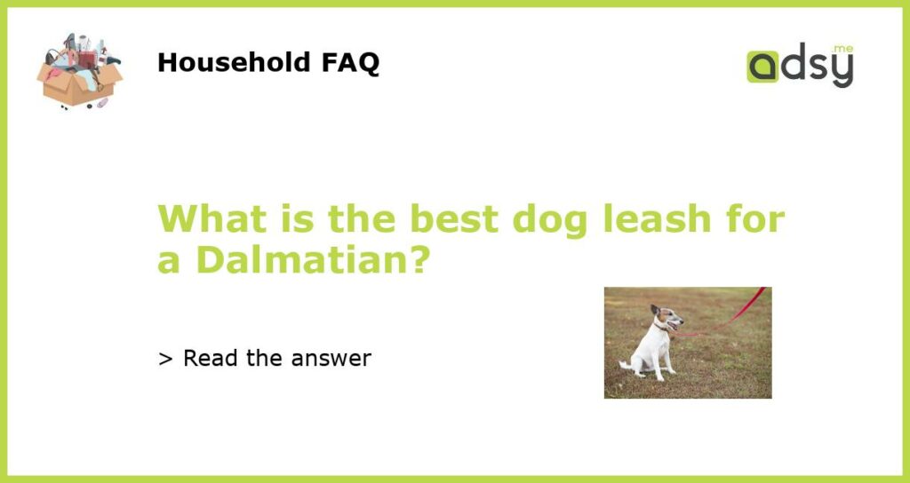What is the best dog leash for a Dalmatian featured