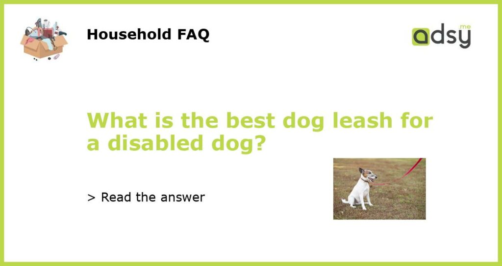 What is the best dog leash for a disabled dog featured
