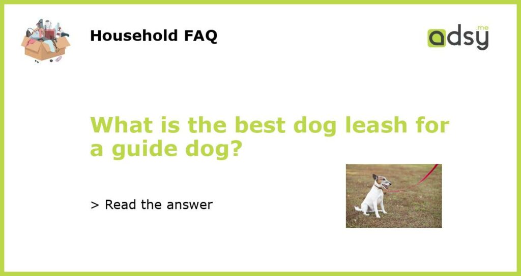 What is the best dog leash for a guide dog?