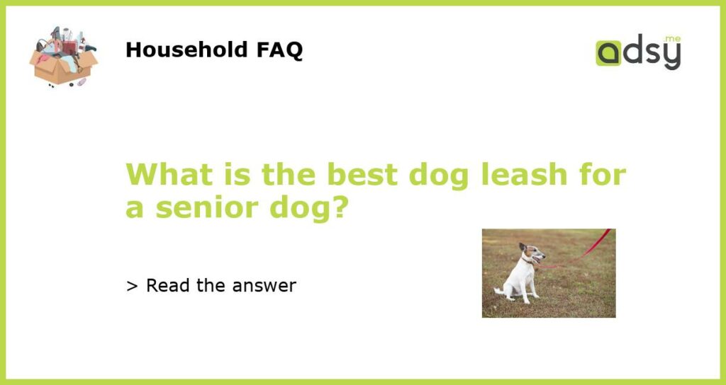 What is the best dog leash for a senior dog featured