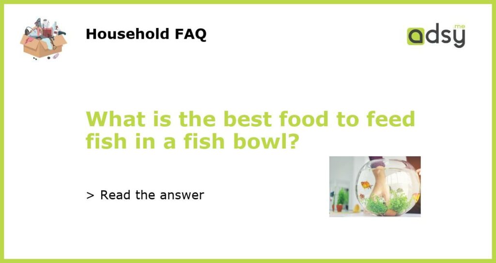 What is the best food to feed fish in a fish bowl featured