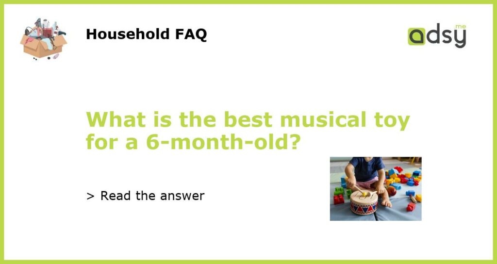 What is the best musical toy for a 6-month-old?