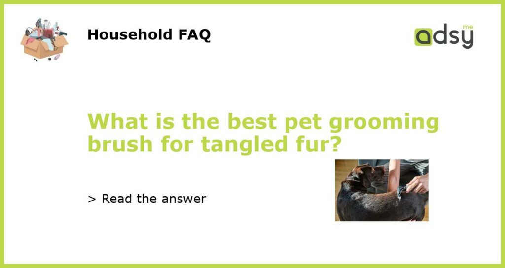 What is the best pet grooming brush for tangled fur featured