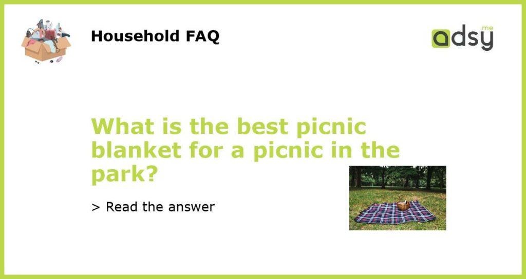 What is the best picnic blanket for a picnic in the park?