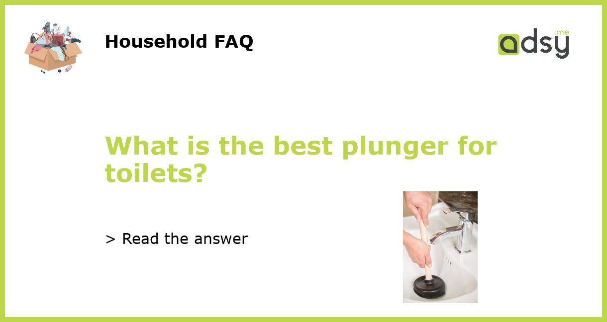 What is the best plunger for toilets?