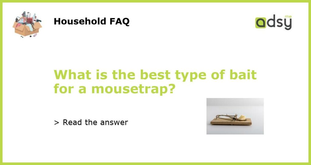 What is the best type of bait for a mousetrap?
