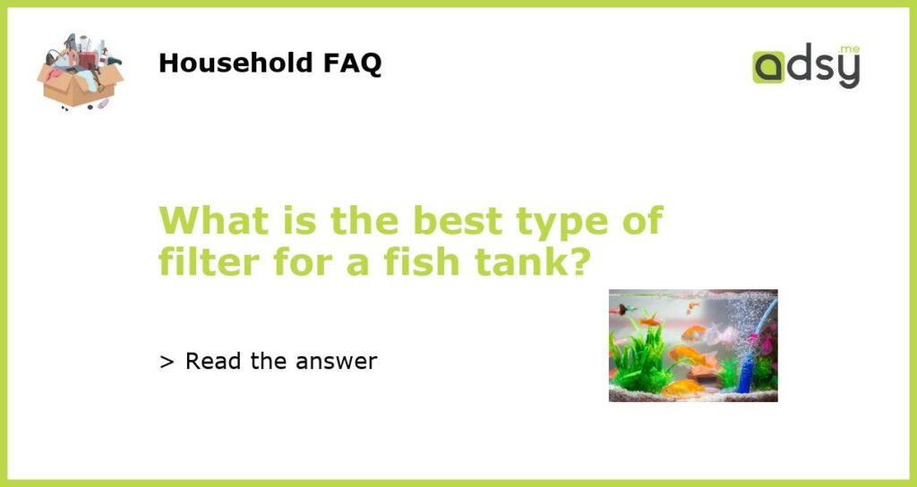What is the best type of filter for a fish tank featured