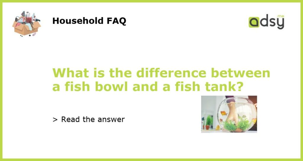 What is the difference between a fish bowl and a fish tank featured