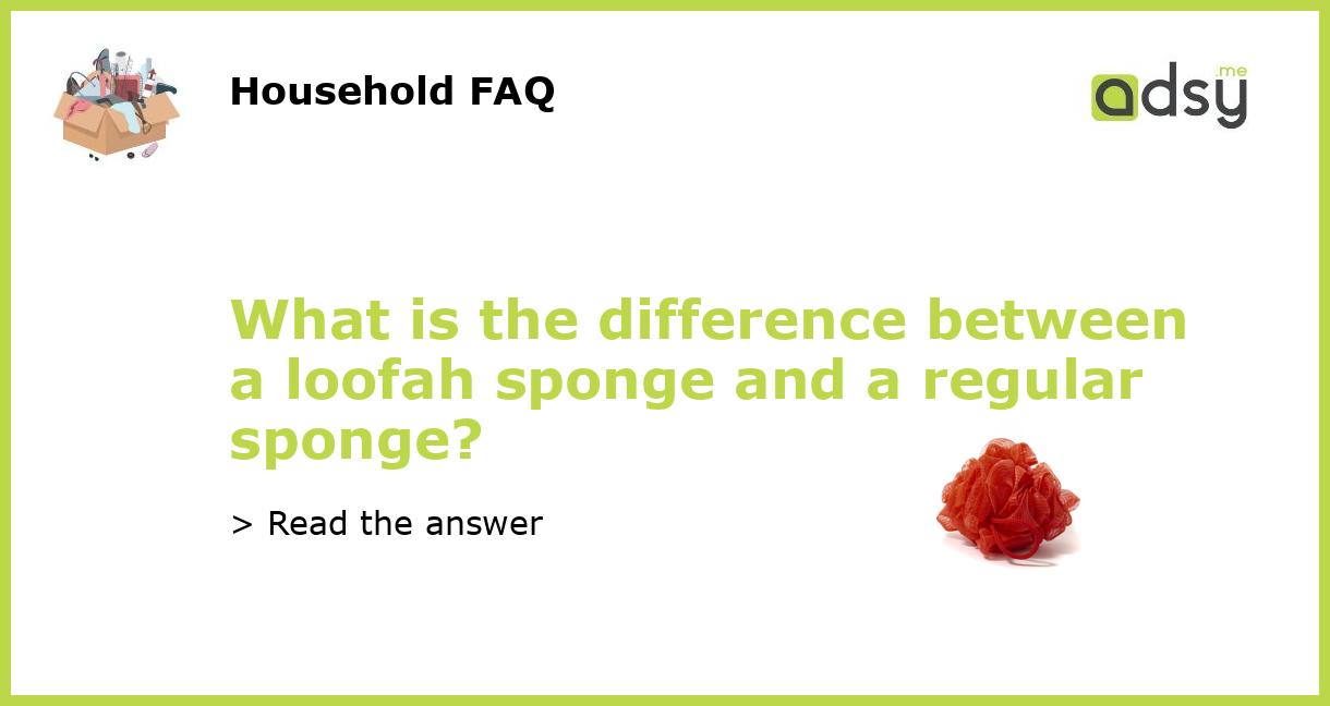 What is the difference between a loofah sponge and a regular sponge?