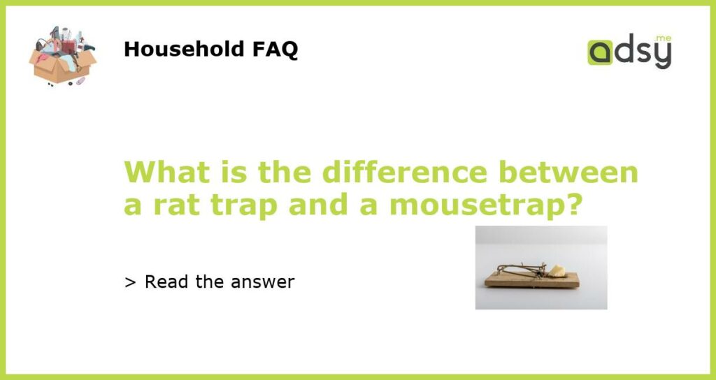What is the difference between a rat trap and a mousetrap featured