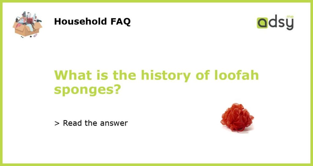 What is the history of loofah sponges featured