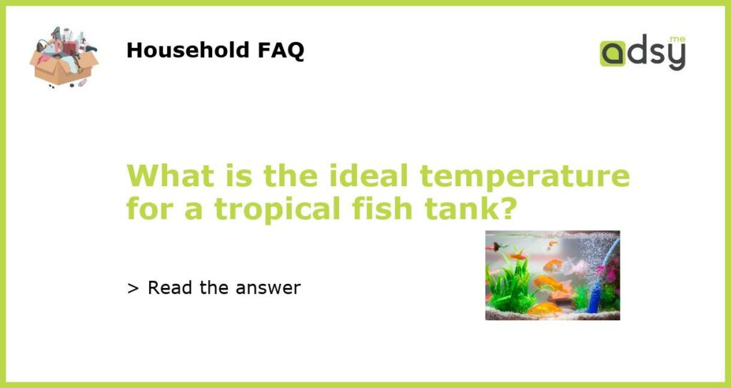 What is the ideal temperature for a tropical fish tank featured