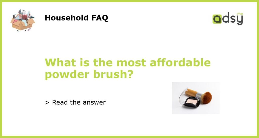 What is the most affordable powder brush featured