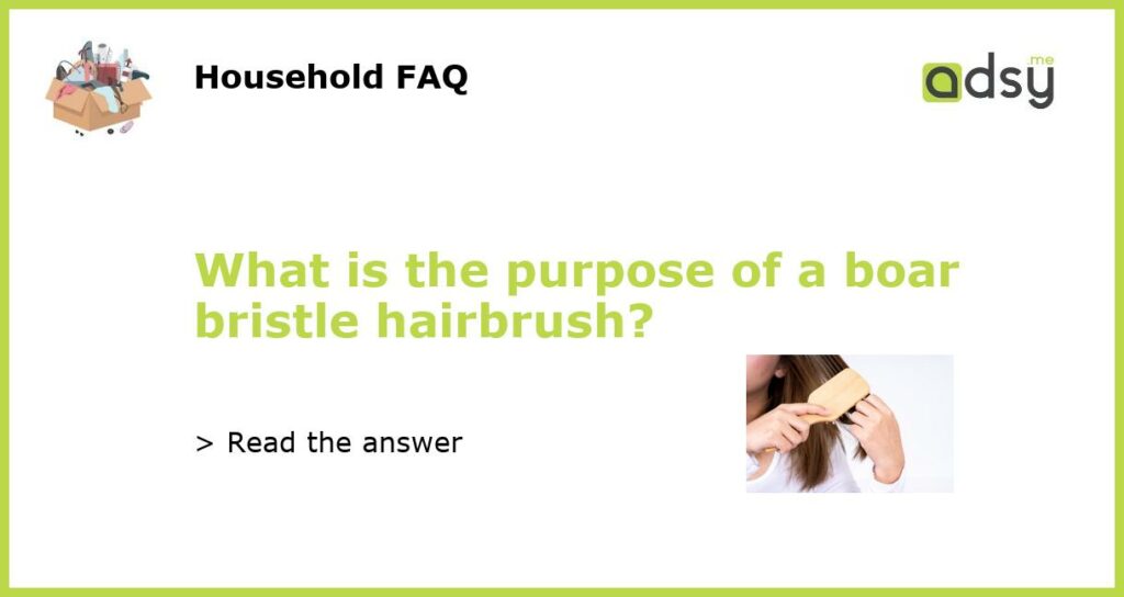 What is the purpose of a boar bristle hairbrush?