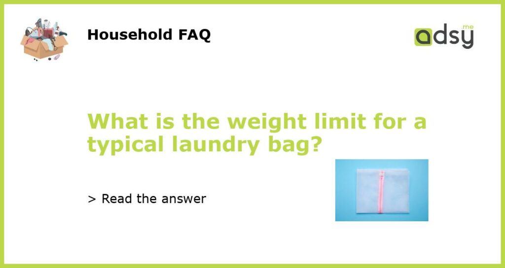 What is the weight limit for a typical laundry bag featured