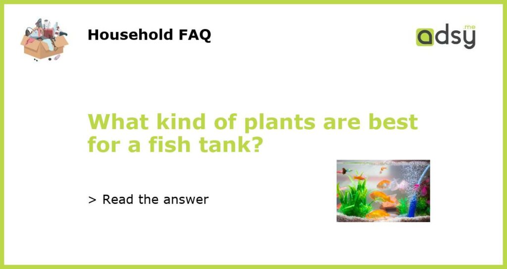 What kind of plants are best for a fish tank featured