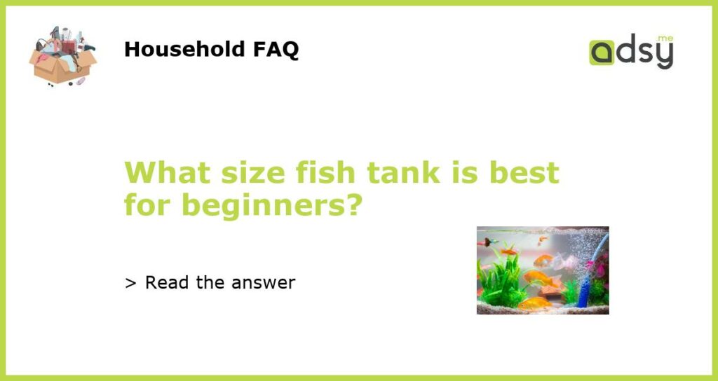 What size fish tank is best for beginners featured